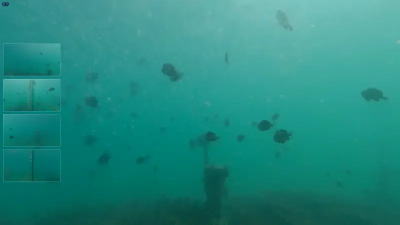 海洋科普宣传暨海洋生态环境监测